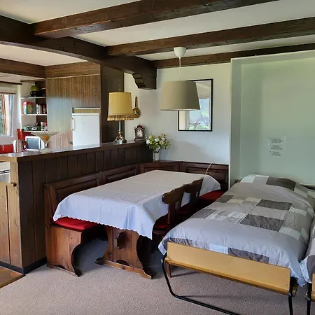In Hus Signal Met Prachtig Uitzicht Op De Bergen Appartamento Klosters